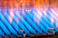 Bagham gas fired boilers