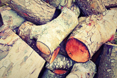 Bagham wood burning boiler costs